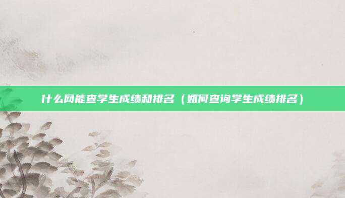 什么网能查学生成绩和排名(如何查询学生成绩排名)