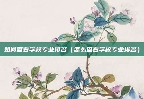如何查看学校专业排名(怎么查看学校专业排名)
