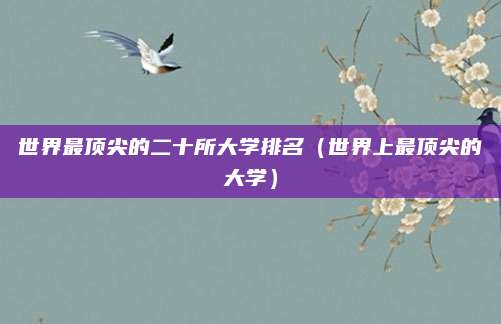 世界最顶尖的二十所大学排名(世界上最顶尖的大学)
