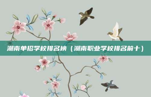 湖南单招学校排名榜(湖南职业学校排名前十)