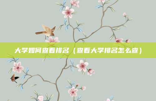 大学如何查看排名(查看大学排名怎么查)
