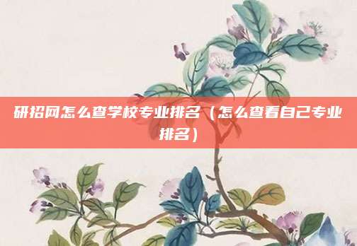 研招网怎么查学校专业排名(怎么查看自己专业排名)