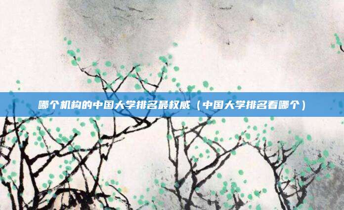 哪个机构的中国大学排名最权威(中国大学排名看哪个)