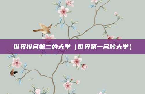 世界排名第二的大学（世界第一名牌大学）