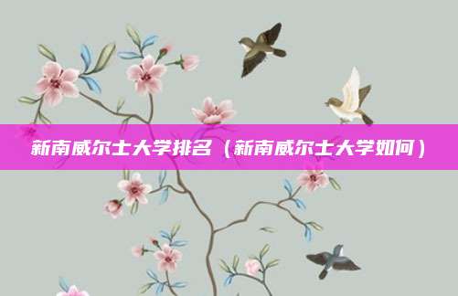 新南威尔士大学排名(新南威尔士大学如何)