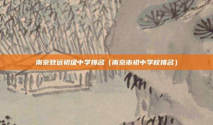 南京致远初级中学排名(南京市初中学校排名)