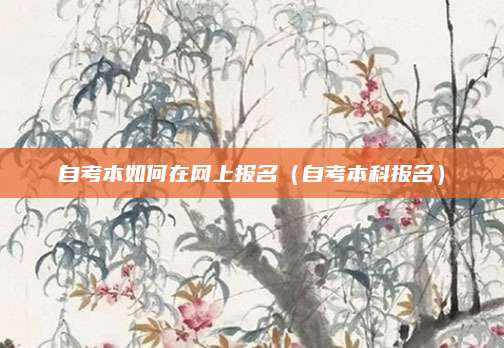 自考本如何在网上报名（自考本科报名）