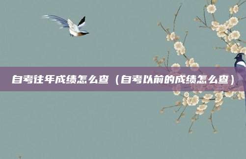 自考往年成绩怎么查（自考以前的成绩怎么查）