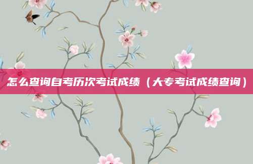 怎么查询自考历次考试成绩（大专考试成绩查询）