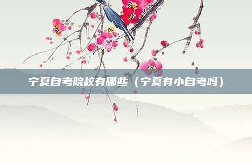 宁夏自考院校有哪些（宁夏有小自考吗）
