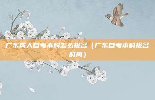 广东成人自考本科怎么报名（广东自考本科报名时间）