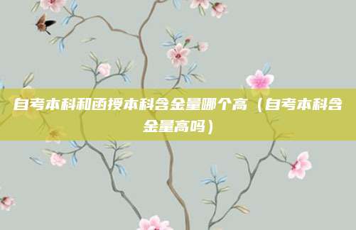 自考本科和函授本科含金量哪个高（自考本科含金量高吗）