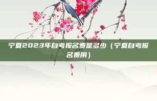 宁夏2023年自考报名费是多少（宁夏自考报名费用）