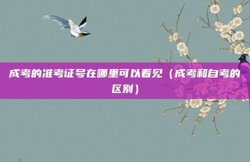 成考的准考证号在哪里可以看见（成考和自考的区别）
