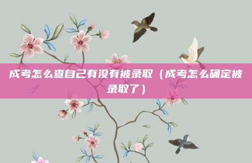 成考怎么查自己有没有被录取（成考怎么确定被录取了）