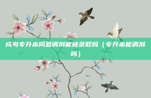 成考专升本同意调剂能被录取吗（专升本能调剂吗）