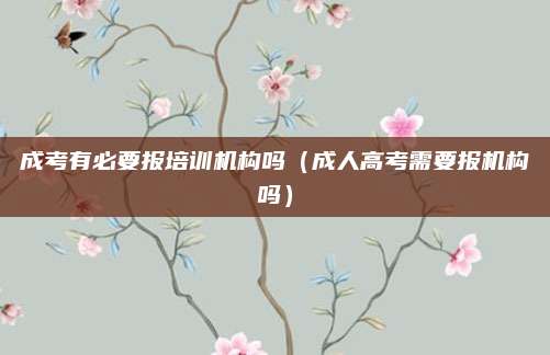 成考有必要报培训机构吗（成人高考需要报机构吗）