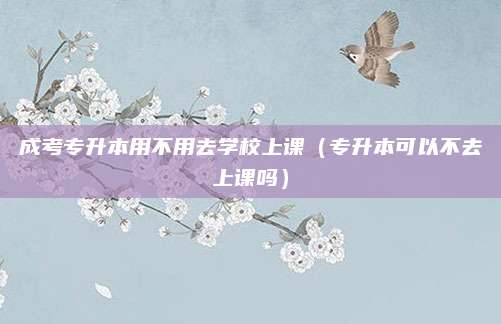 成考专升本用不用去学校上课（专升本可以不去上课吗）