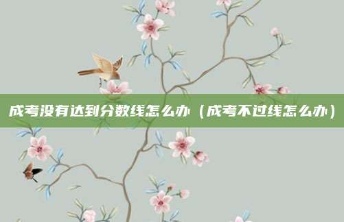成考没有达到分数线怎么办（成考不过线怎么办）