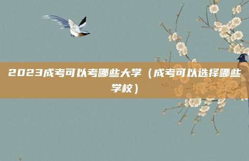 2023成考可以考哪些大学（成考可以选择哪些学校）
