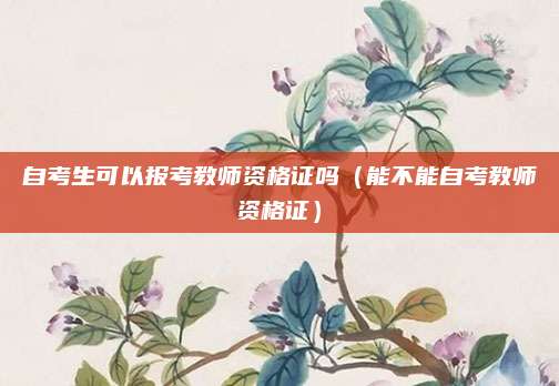 自考生可以报考教师资格证吗（能不能自考教师资格证）