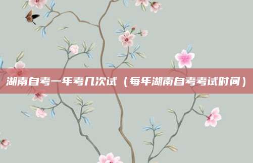 湖南自考一年考几次试（每年湖南自考考试时间）