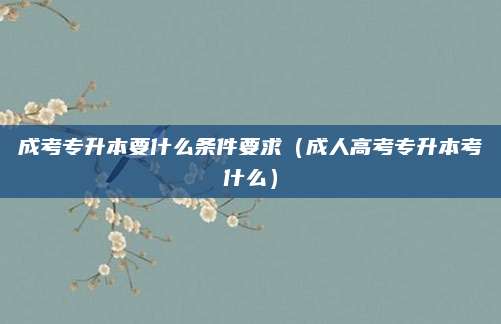 成考专升本要什么条件要求（成人高考专升本考什么）