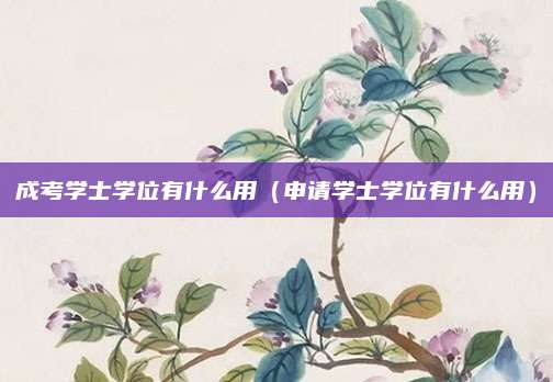成考学士学位有什么用（申请学士学位有什么用）