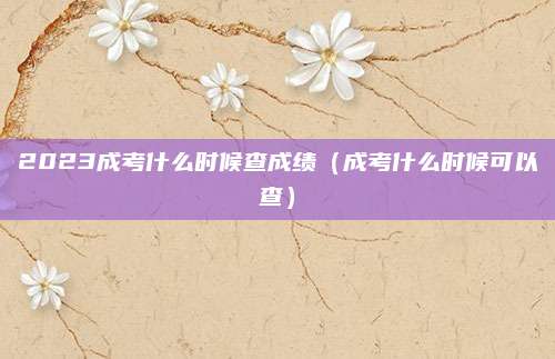 2023成考什么时候查成绩（成考什么时候可以查）