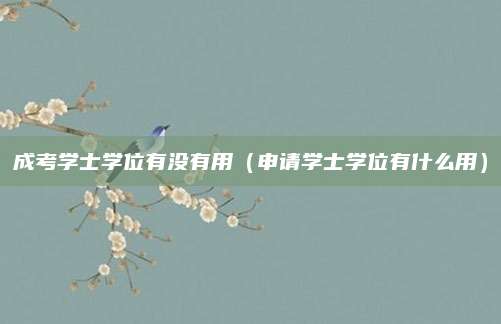 成考学士学位有没有用（申请学士学位有什么用）