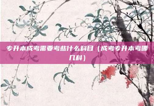 专升本成考需要考些什么科目（成考专升本考哪几科）
