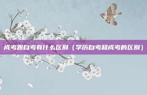成考跟自考有什么区别（学历自考和成考的区别）