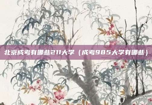 北京成考有哪些211大学（成考985大学有哪些）