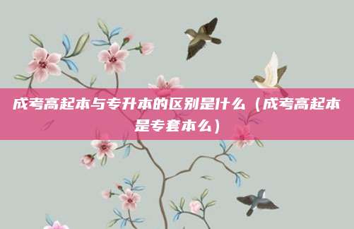 成考高起本与专升本的区别是什么（成考高起本是专套本么）