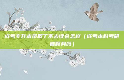 成考专升本录取了不去读会怎样（成考本科考研能翻身吗）