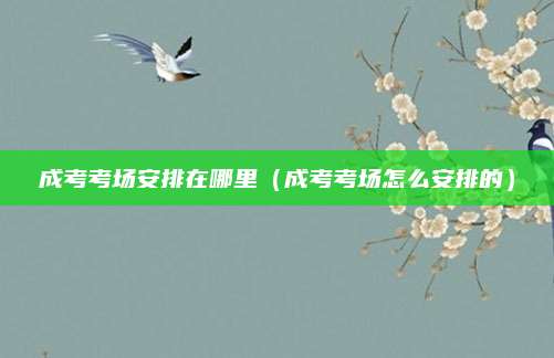成考考场安排在哪里（成考考场怎么安排的）