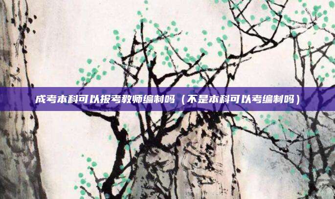 成考本科可以报考教师编制吗（不是本科可以考编制吗）