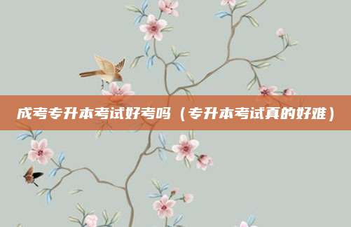 成考专升本考试好考吗（专升本考试真的好难）