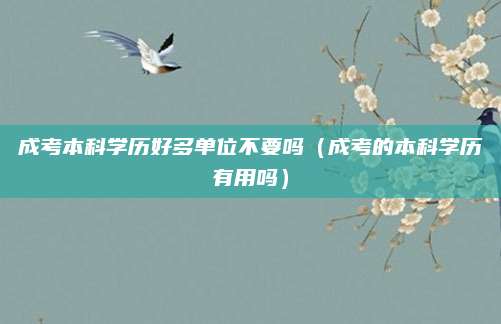 成考本科学历好多单位不要吗（成考的本科学历有用吗）