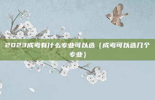 2023成考有什么专业可以选（成考可以选几个专业）