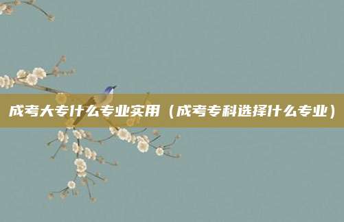 成考大专什么专业实用（成考专科选择什么专业）