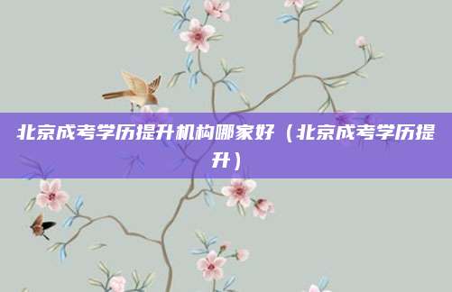 北京成考学历提升机构哪家好（北京成考学历提升）