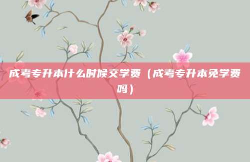 成考专升本什么时候交学费（成考专升本免学费吗）