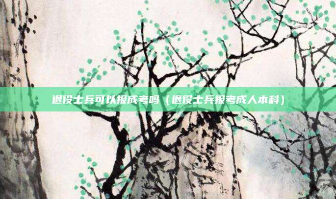 退役士兵可以报成考吗（退役士兵报考成人本科）