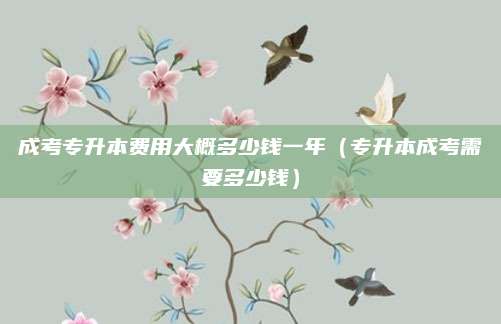 成考专升本费用大概多少钱一年（专升本成考需要多少钱）