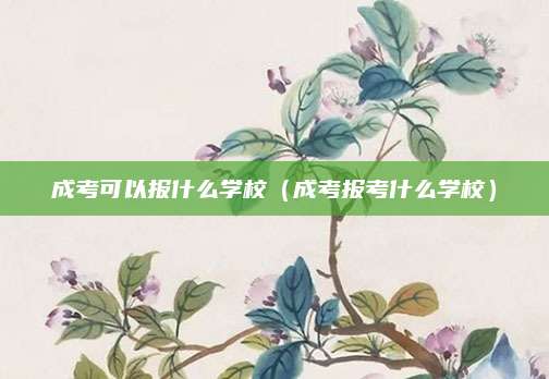 成考可以报什么学校（成考报考什么学校）