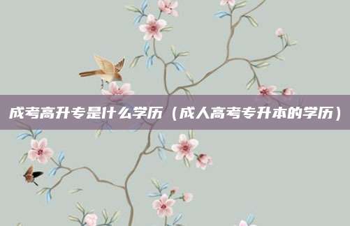 成考高升专是什么学历（成人高考专升本的学历）