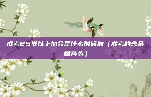 成考25岁以上加分是什么时候加（成考的含金量高么）