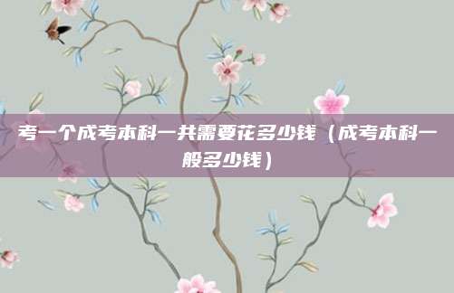 考一个成考本科一共需要花多少钱（成考本科一般多少钱）