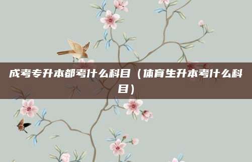 成考专升本都考什么科目（体育生升本考什么科目）